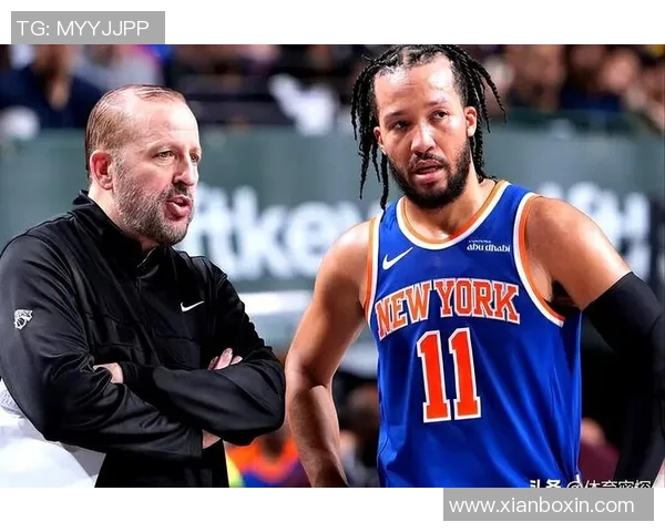 2014年尼克斯与山猫激战回顾球员表现与比赛亮点全解析