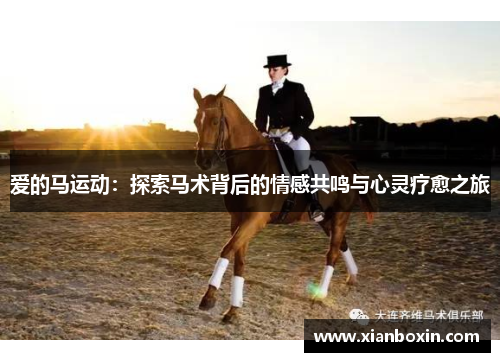 爱的马运动：探索马术背后的情感共鸣与心灵疗愈之旅