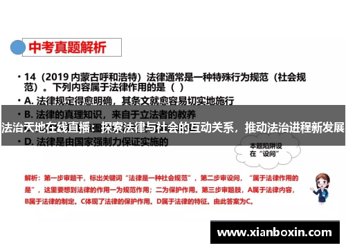 法治天地在线直播：探索法律与社会的互动关系，推动法治进程新发展