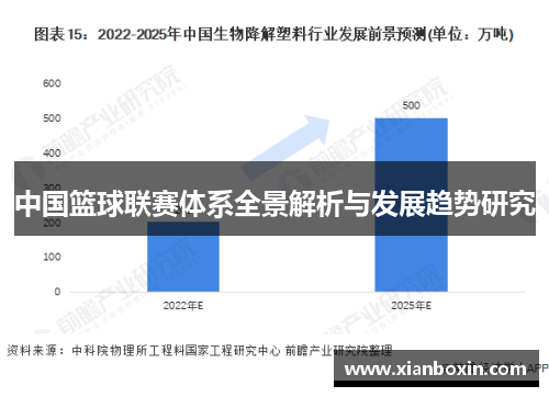 中国篮球联赛体系全景解析与发展趋势研究