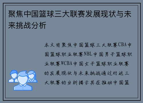 聚焦中国篮球三大联赛发展现状与未来挑战分析